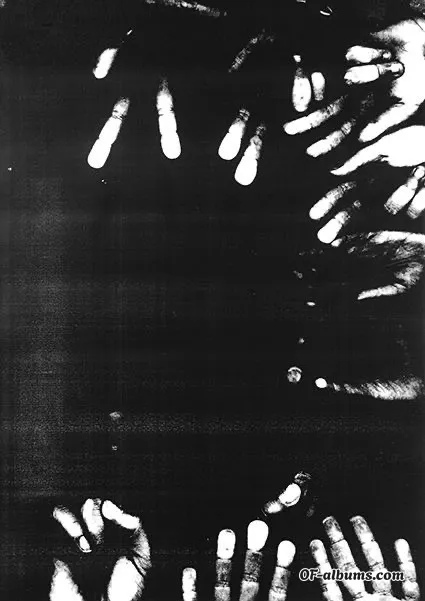 Image #2 of a.milii3