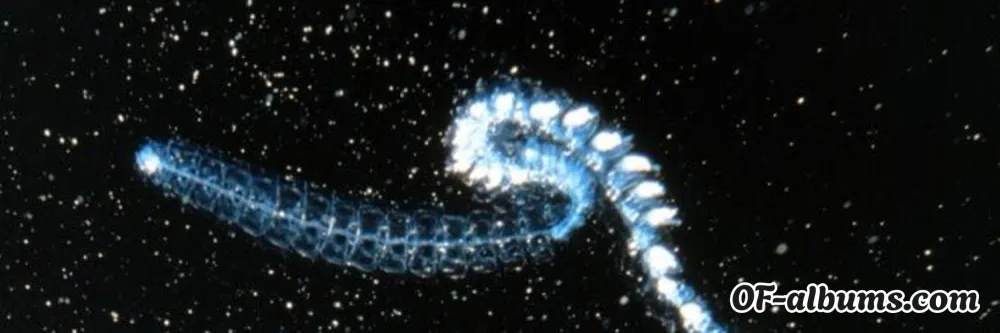 Image #2 of abyssalaphrodizia