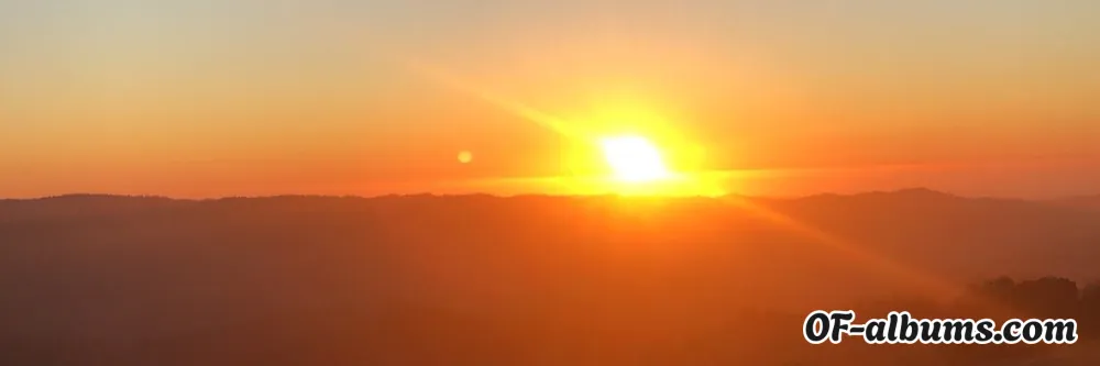 Image #2 of actionjax