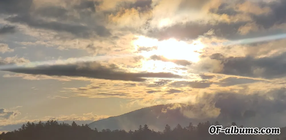 Image #2 of adkbear