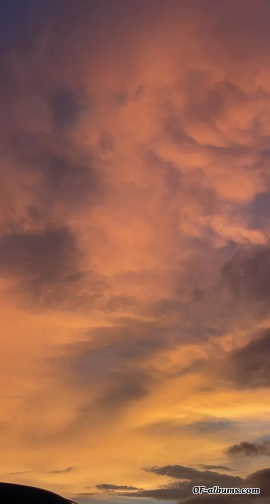 Image #2 of afrodita.blanco