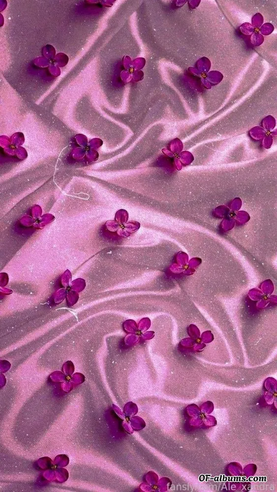 Image #2 of ale_xandra