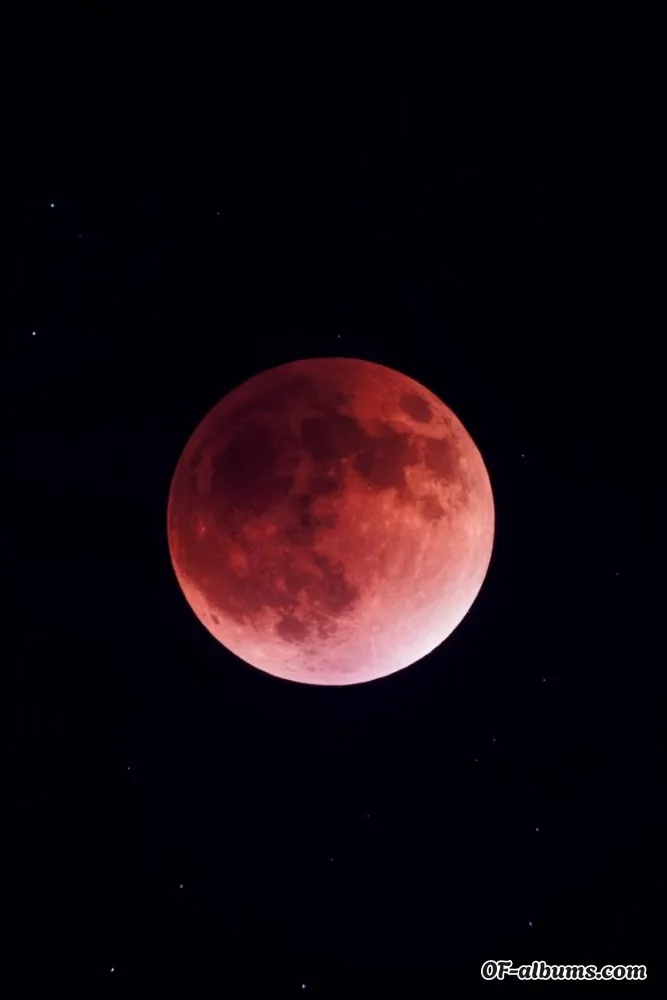 Image #2 of alemoon1999