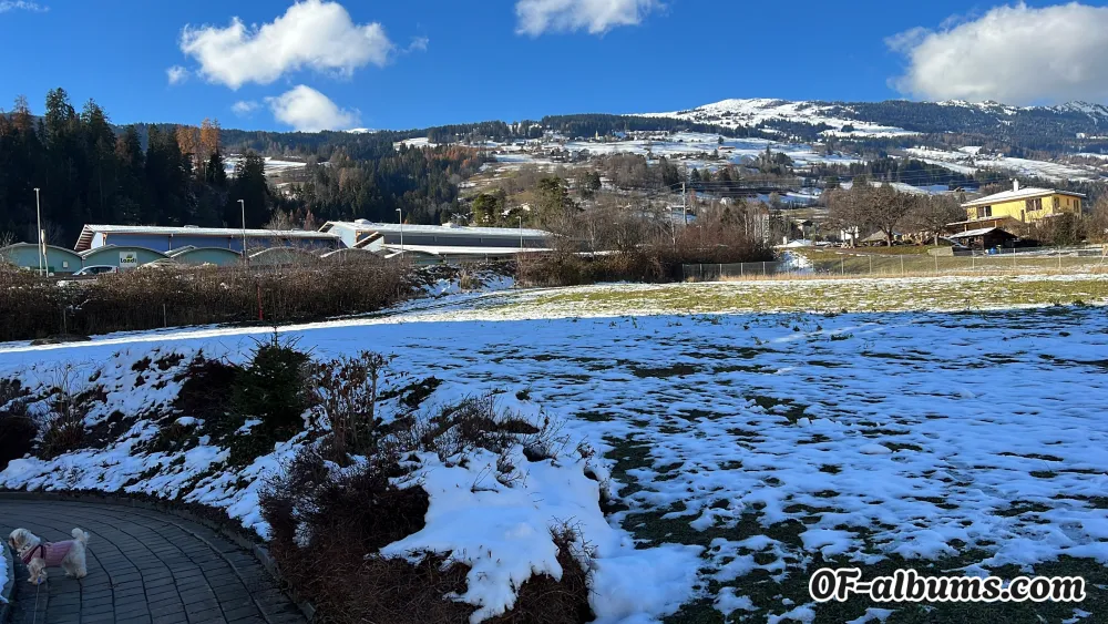 Image #2 of alexand83449308