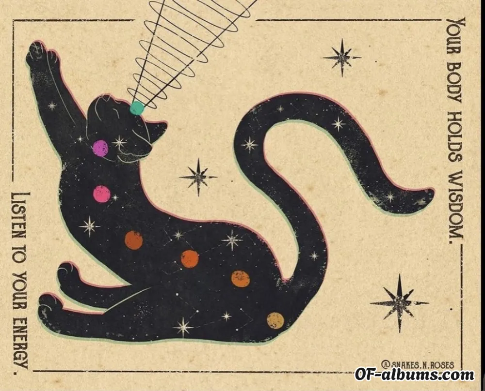 Image #2 of alishalaee