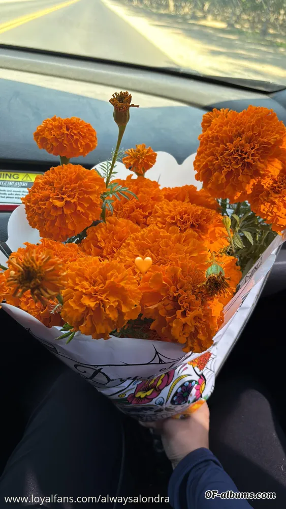 Image #2 of alwaysalondra