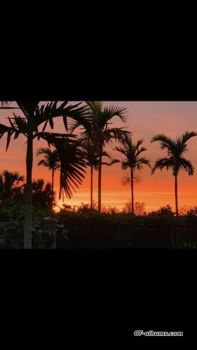 Image #3 of ambular18