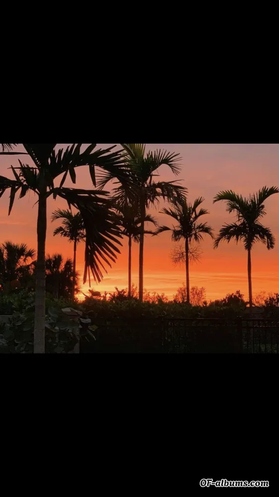 Image #2 of ambular18