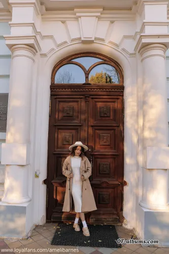 Image #5 of amelibarnes