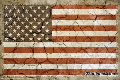 Image #3 of americandamselsbondage