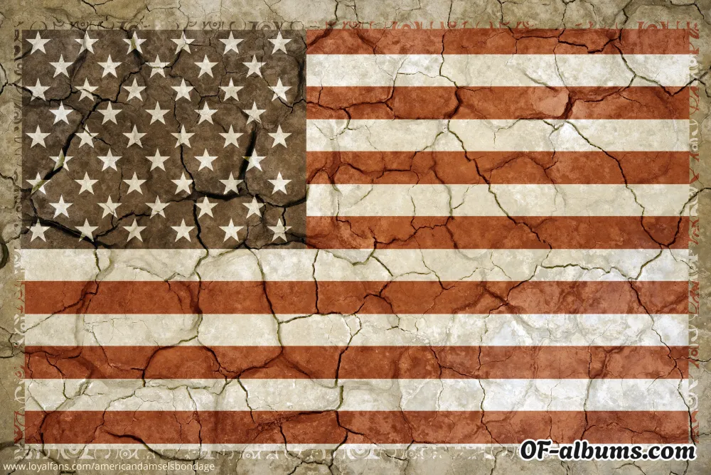 Image #2 of americandamselsbondage