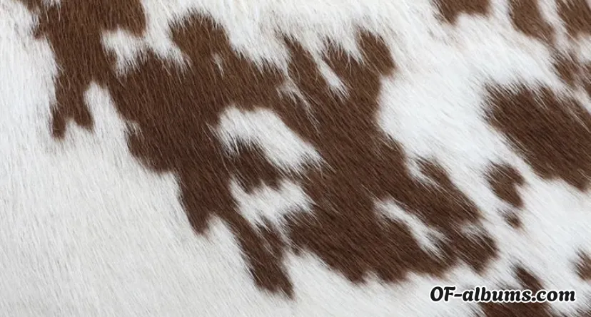 Image #2 of anastasiadaisy