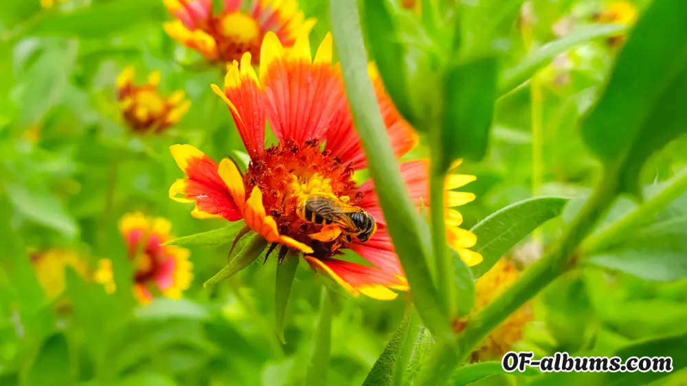 Image #2 of andrey.lov