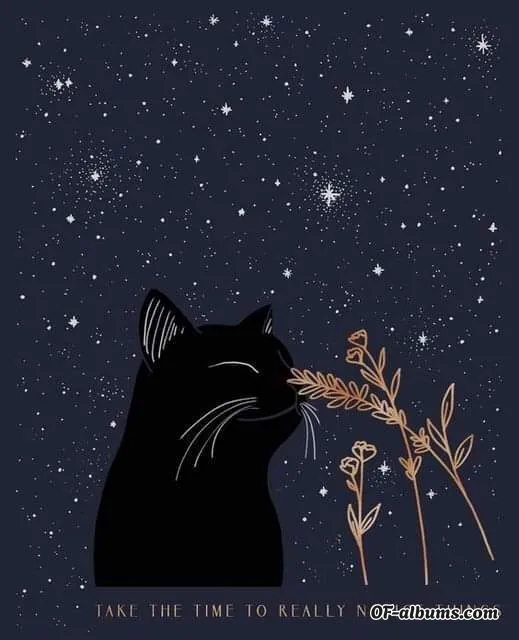 Image #2 of angelkiss25