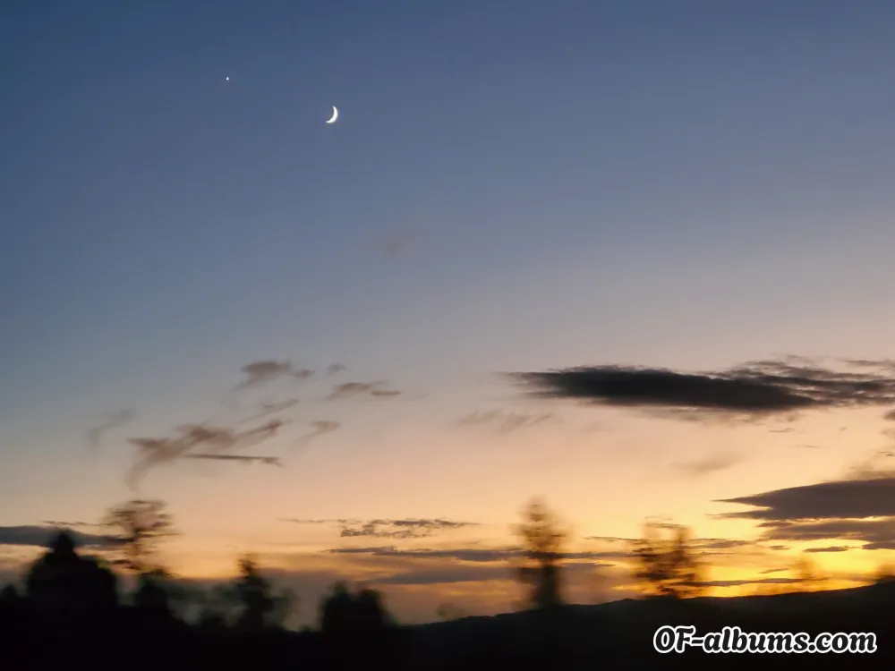 Image #2 of anna_may58