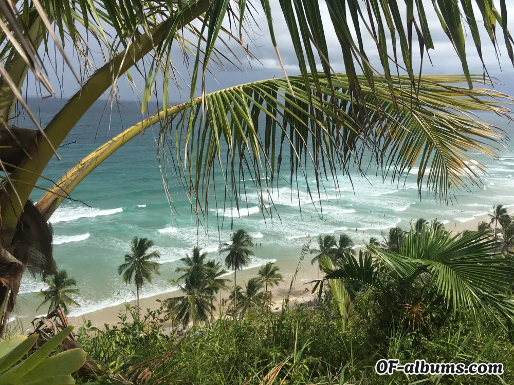 Image #2 of annalicia_art