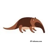 Image #1 of anteaterwannabe