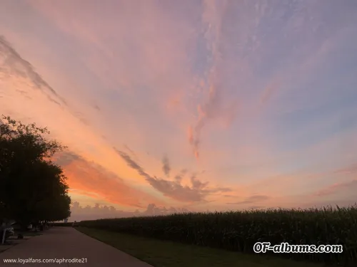 Image #4 of aphrodite21