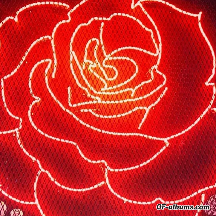 Image #2 of archienyc