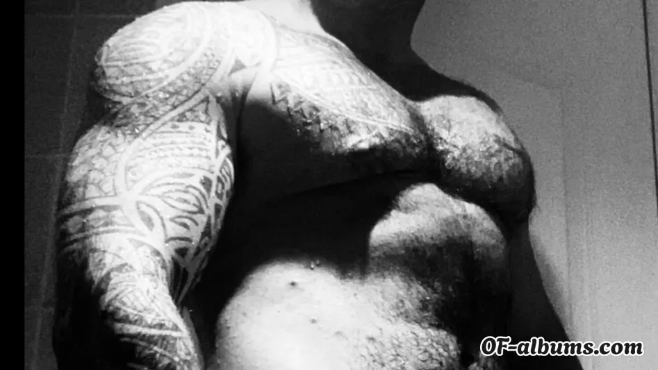 Image #2 of arctic-ice