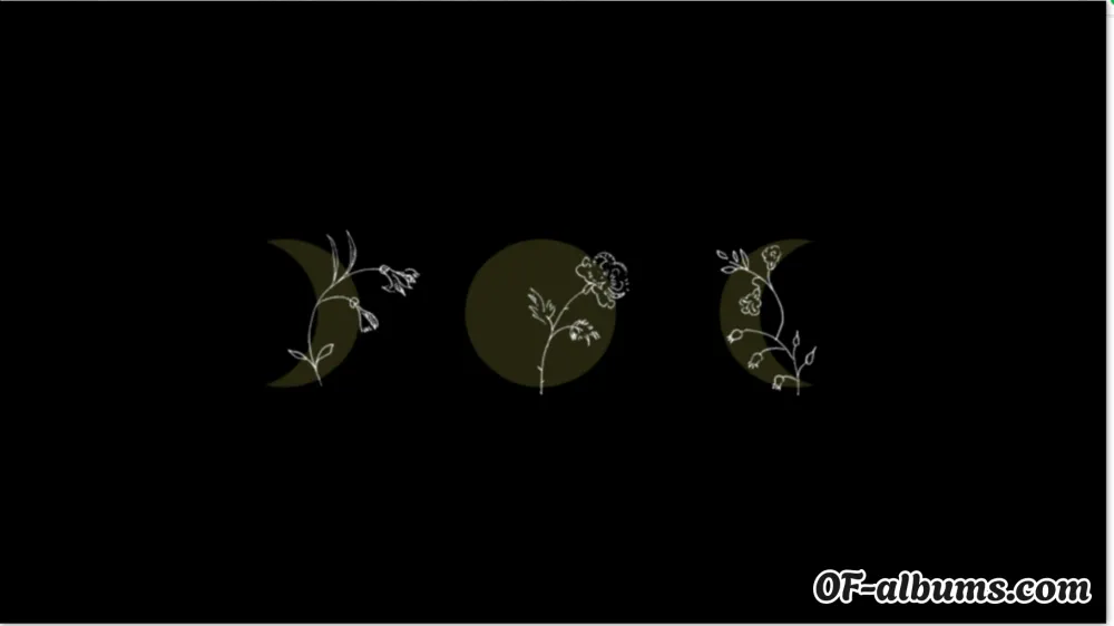 Image #2 of arguablyluna