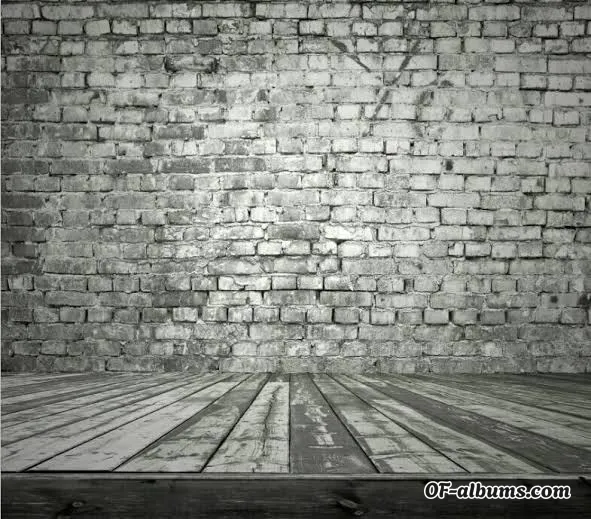 Image #2 of armyvemici