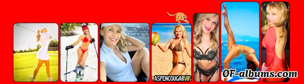 Image #2 of aspencougartv