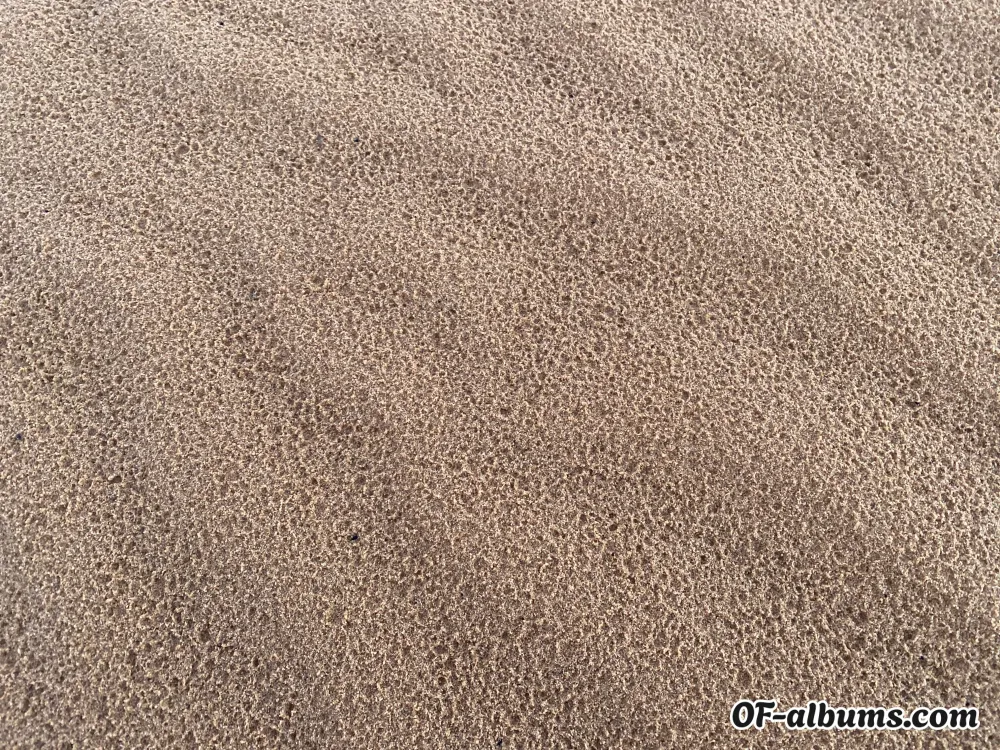 Image #2 of aussie2101