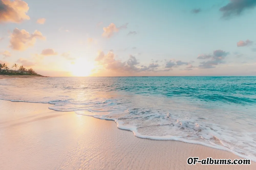 Image #2 of avaxvalentine