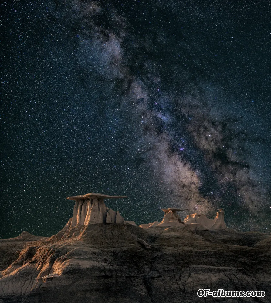 Image #4 of aznpp