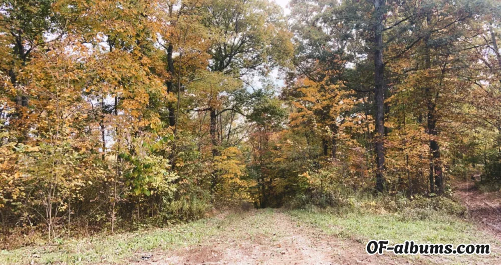 Image #2 of babybubbles856