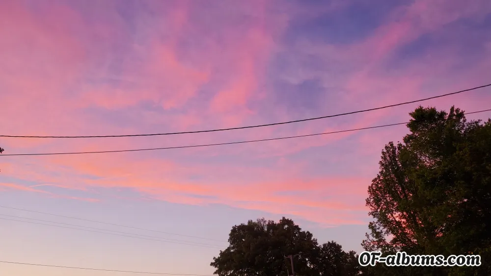 Image #2 of babyd_oll4244