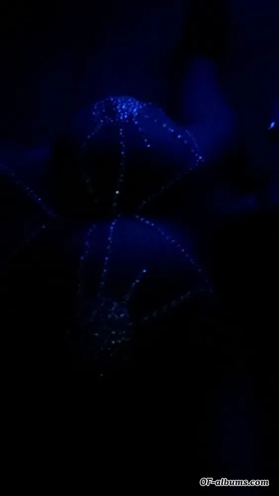 Image #2 of babygirlmari