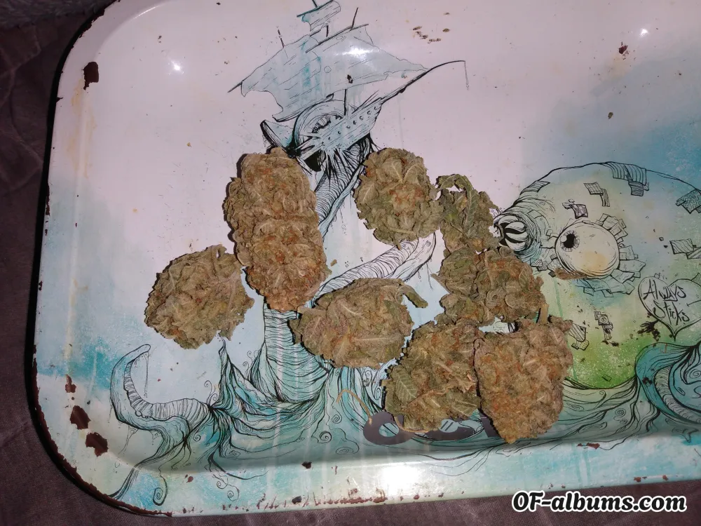 Image #2 of badbunny42018