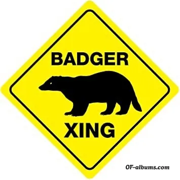 Image #2 of badgertexas
