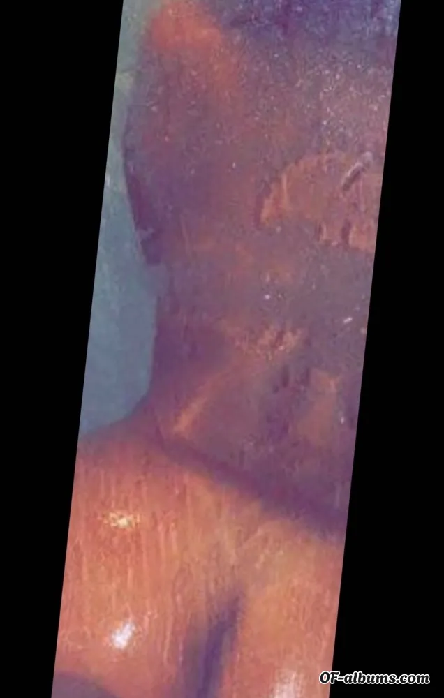 Image #1 of badiannabrat.k