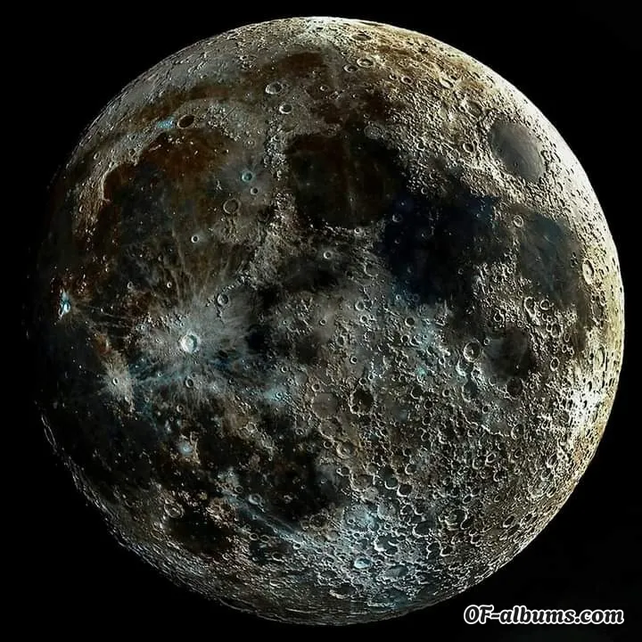 Image #2 of bay261116834