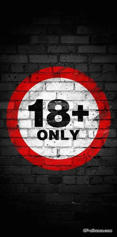 Image #2 of bearbatv