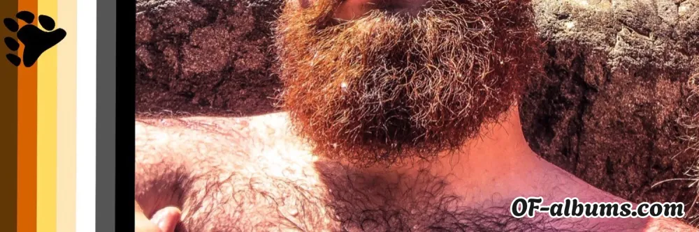 Image #2 of beardybeef