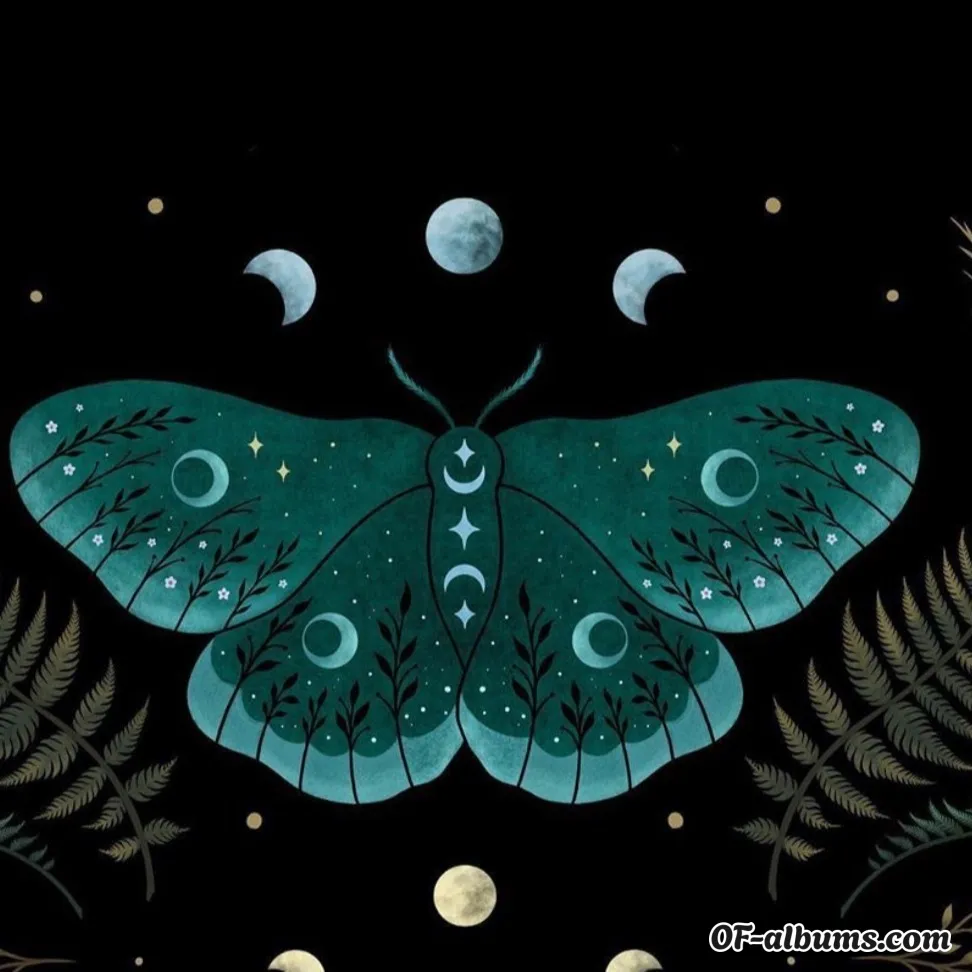 Image #2 of beesbooty