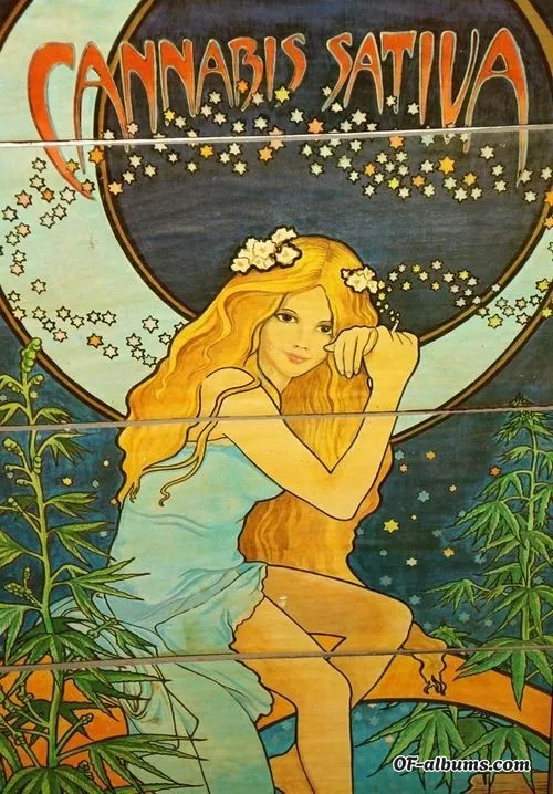 Image #1 of bigtiddyhippie