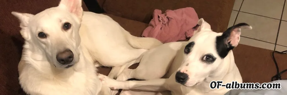 Image #2 of bitchany94