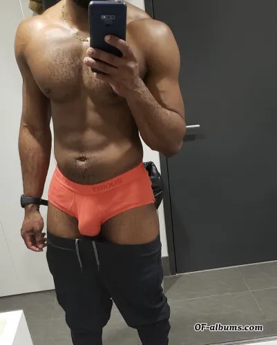 Image #2 of blackswandream1