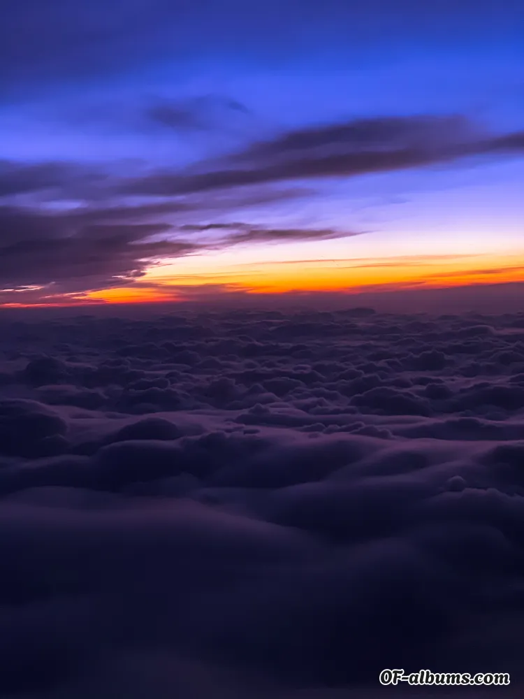 Image #2 of blake_dafney