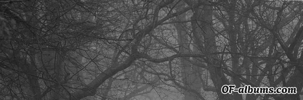 Image #2 of blawbert