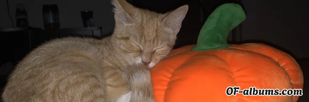 Image #2 of blondebabe