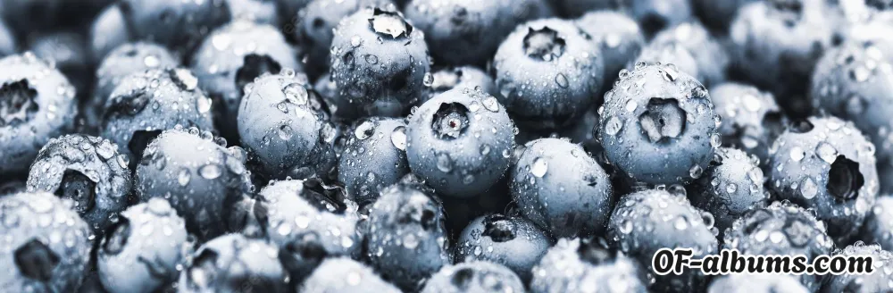 Image #2 of blueberryblondie69