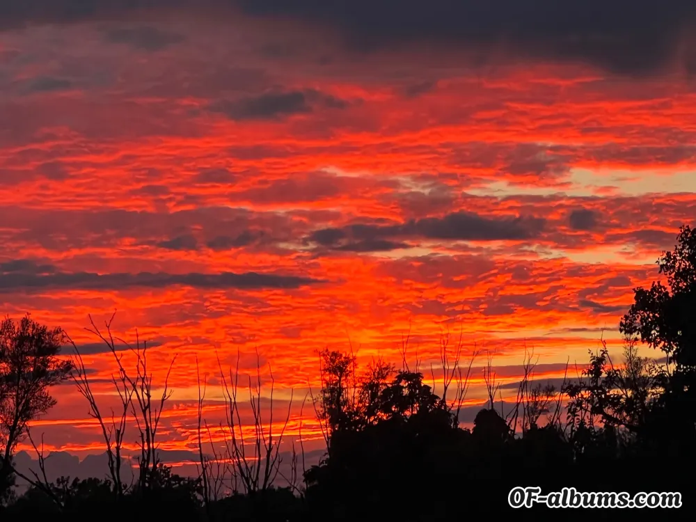 Image #2 of bobafettish17