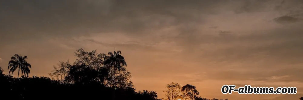 Image #2 of bolabolat