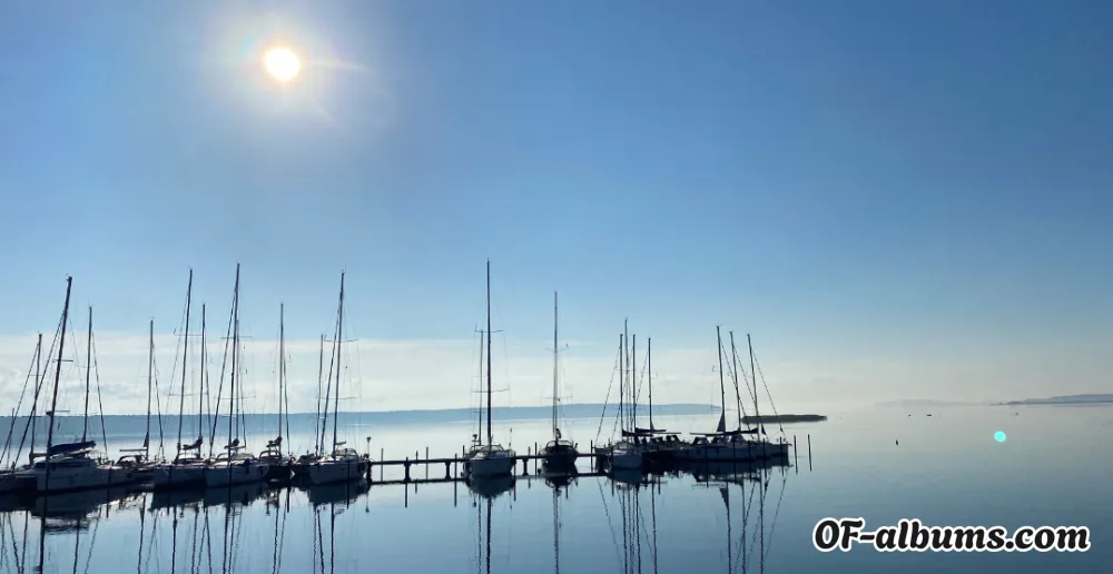 Image #3 of bosco-biati